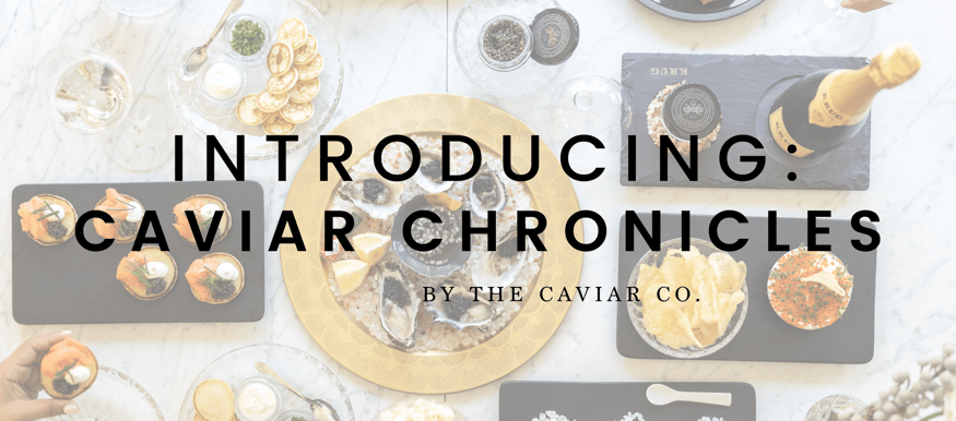 caviar chronicles header (1)